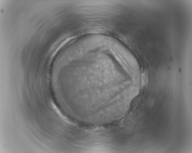 X0000052570243200507292013