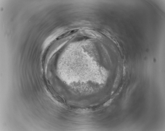 X0000052570245200507292013