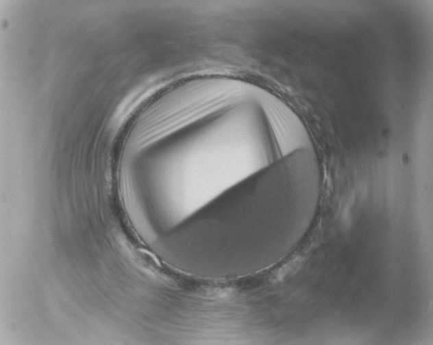 X0000052570247200507292013