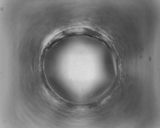 X0000052570248200507292013