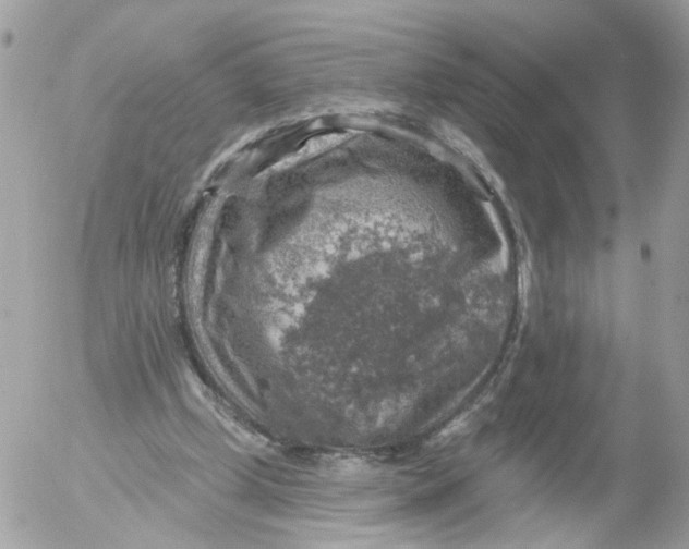 X0000052570249200507292013