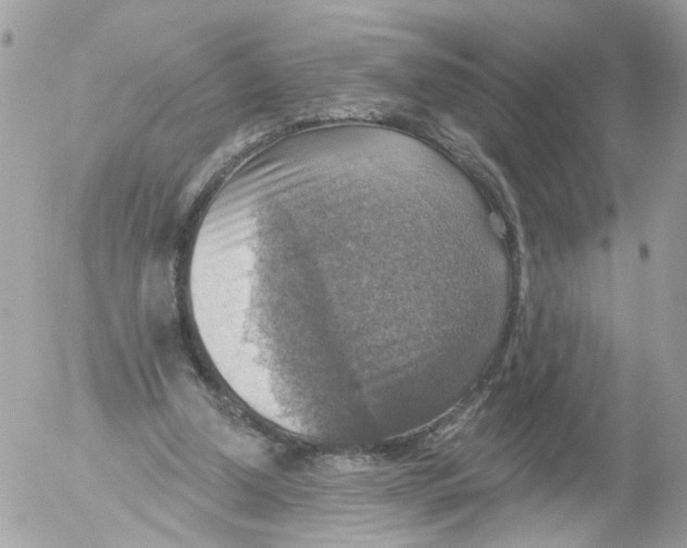 X0000052570250200507292013