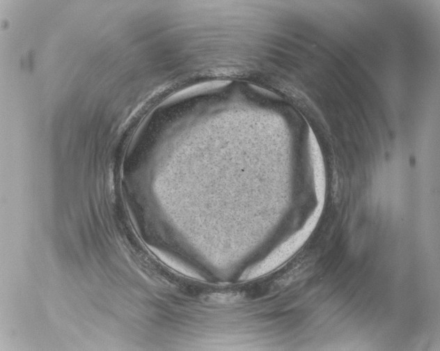 X0000052570251200507292014