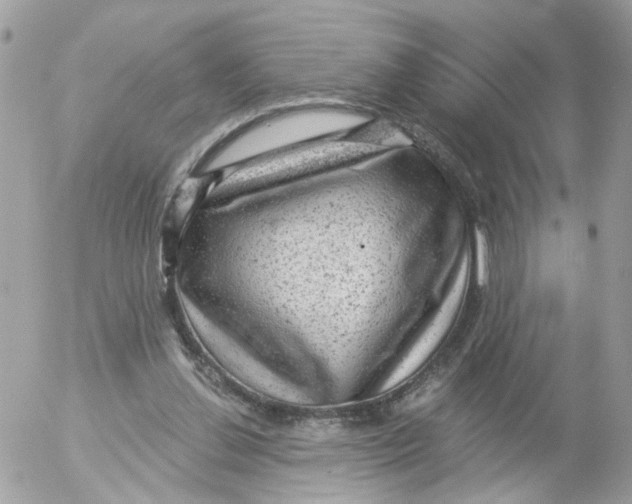 X0000052570252200507292014