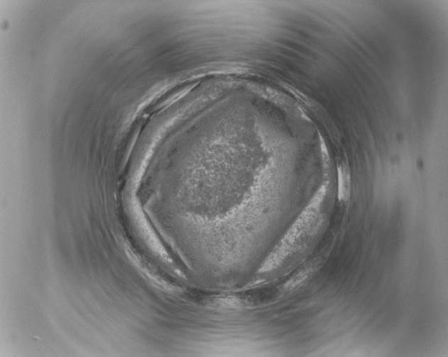 X0000052570253200507292014