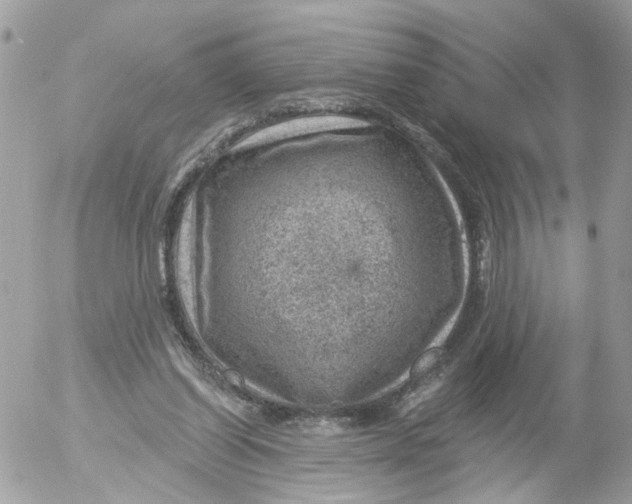 X0000052570254200507292014