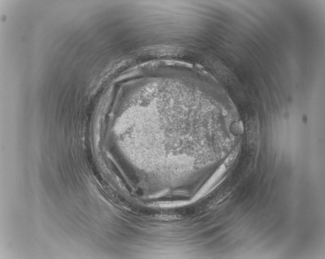 X0000052570255200507292014