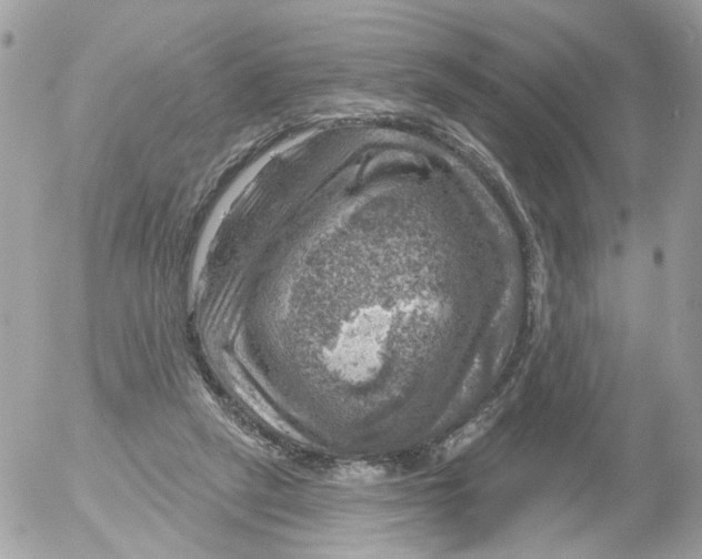 X0000052570257200507292014