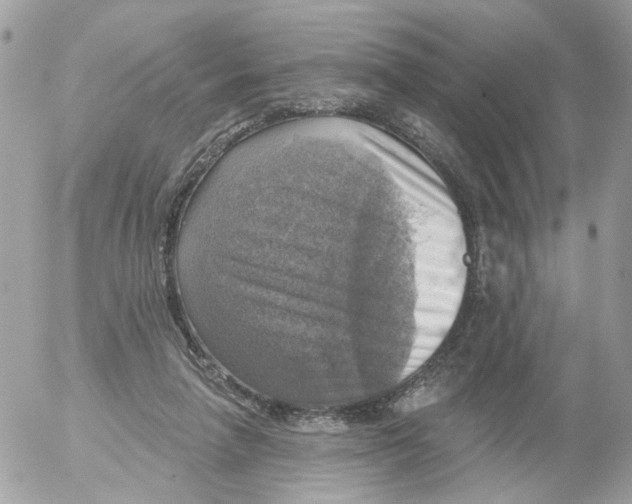 X0000052570258200507292014