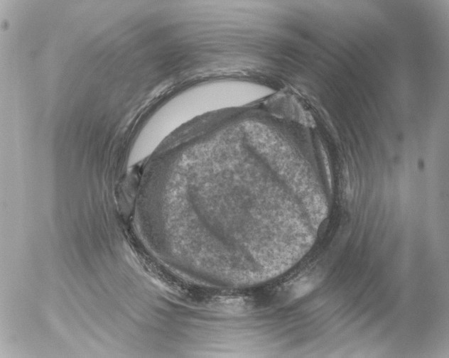 X0000052570260200507292014