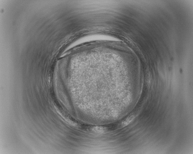 X0000052570261200507292014