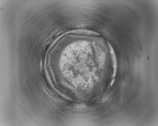 X0000052570262200507292014