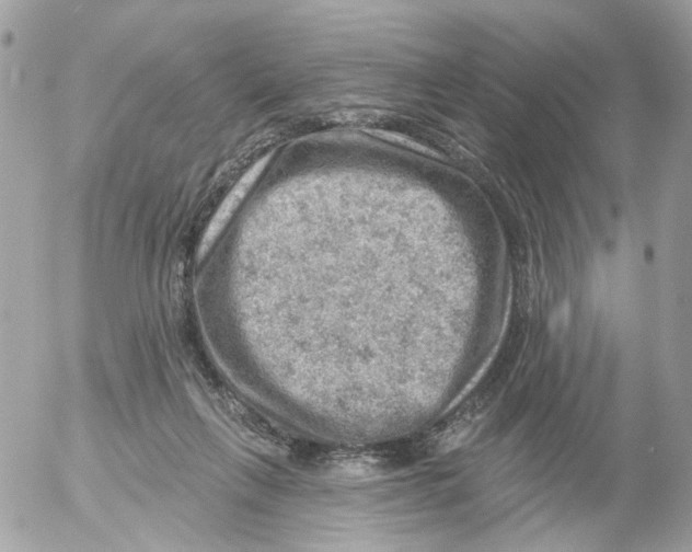 X0000052570263200507292014