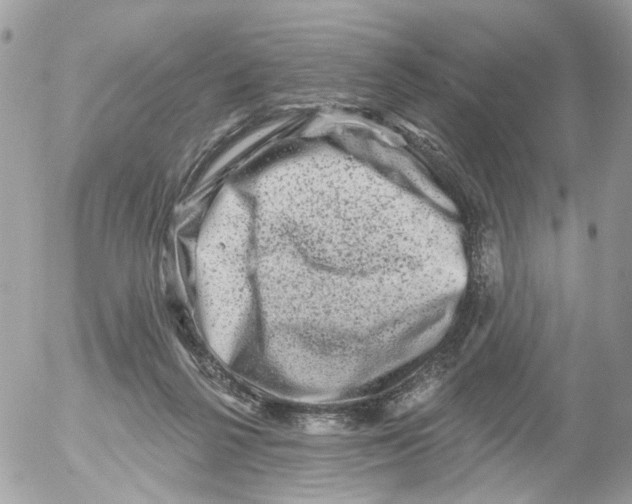 X0000052570264200507292014