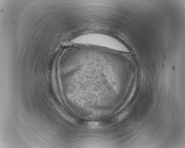 X0000052570265200507292014