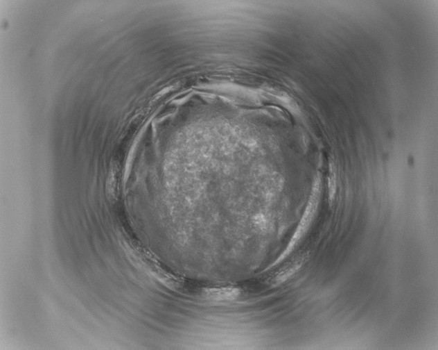 X0000052570266200507292014