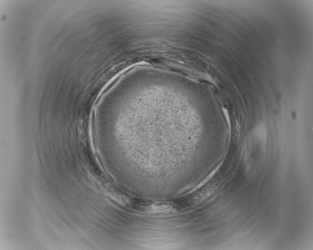 X0000052570270200507292014