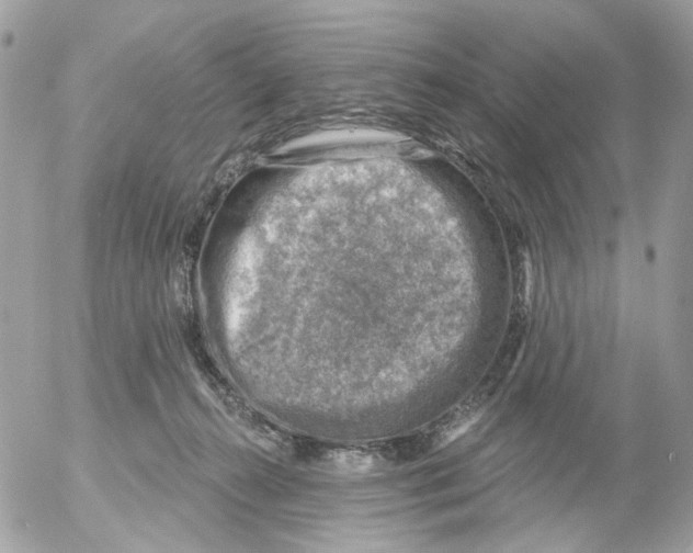 X0000052570272200507292014