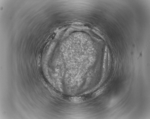 X0000052570273200507292014