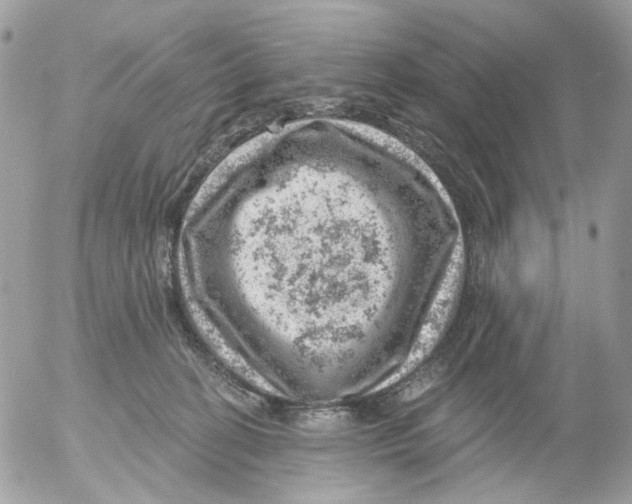 X0000052570274200507292014