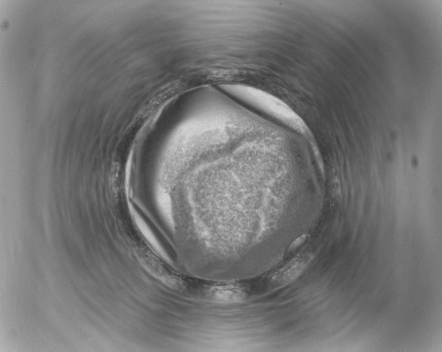 X0000052570275200507292014