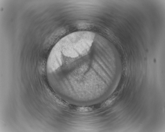 X0000052570277200507292014