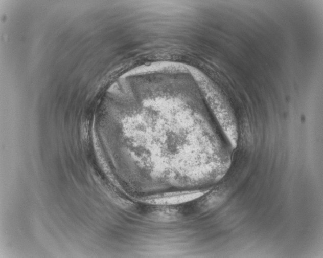 X0000052570278200507292014