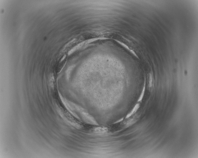 X0000052570279200507292014