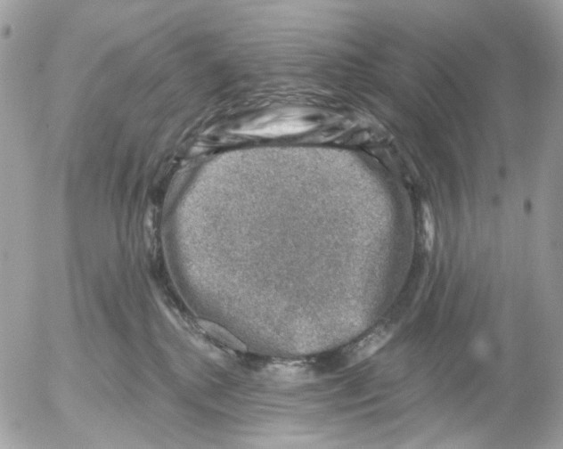 X0000052570280200507292014