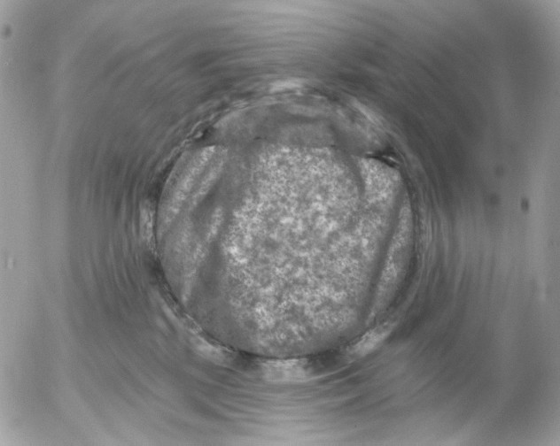 X0000052570281200507292014