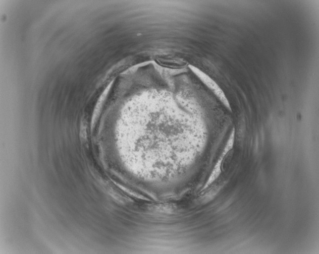 X0000052570282200507292014