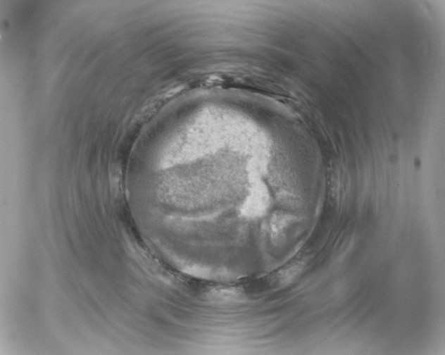 X0000052570283200507292014