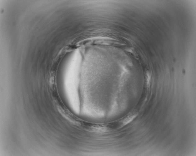 X0000052570284200507292014