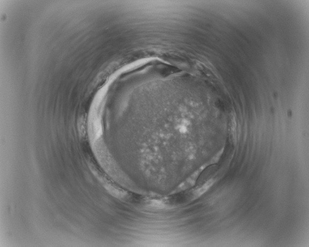 X0000052570285200507292014