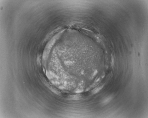 X0000052570286200507292014