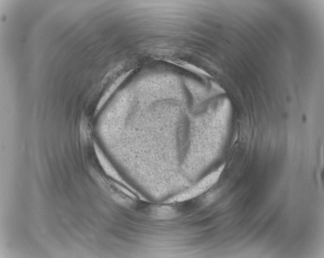 X0000052570287200507292014