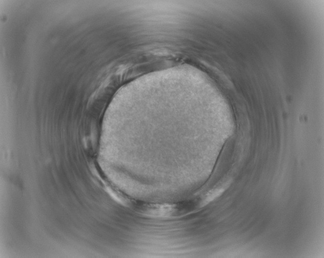 X0000052570288200507292014