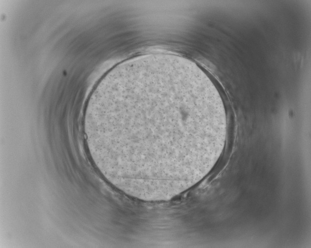 X0000052570289200507292013