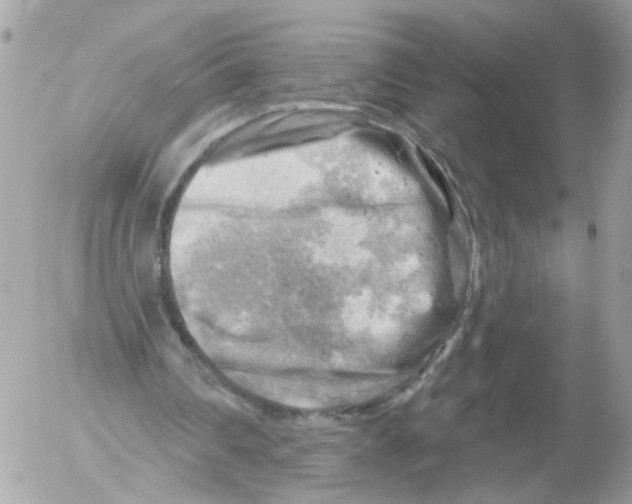 X0000052570290200507292013