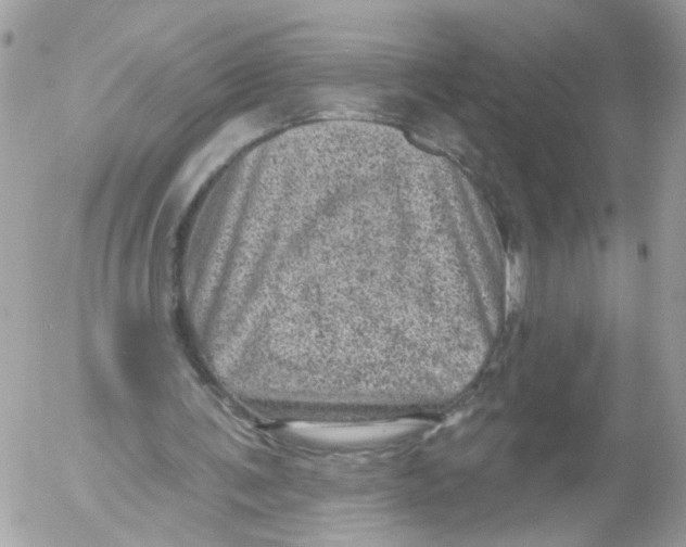 X0000052570291200507292013