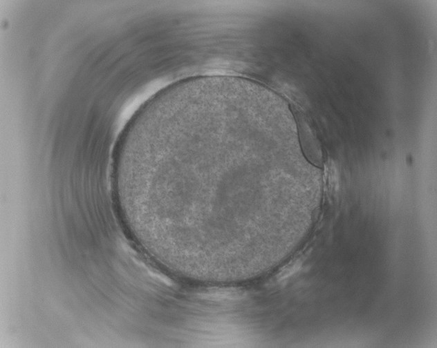 X0000052570292200507292013