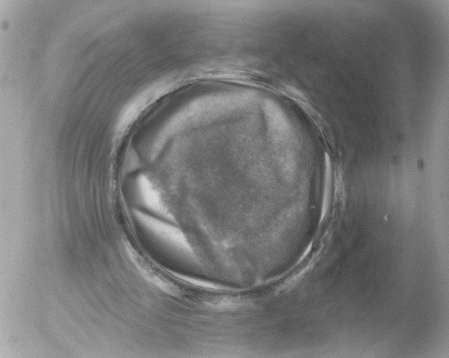 X0000052570293200507292013