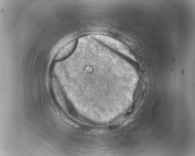 X0000052570294200507292013