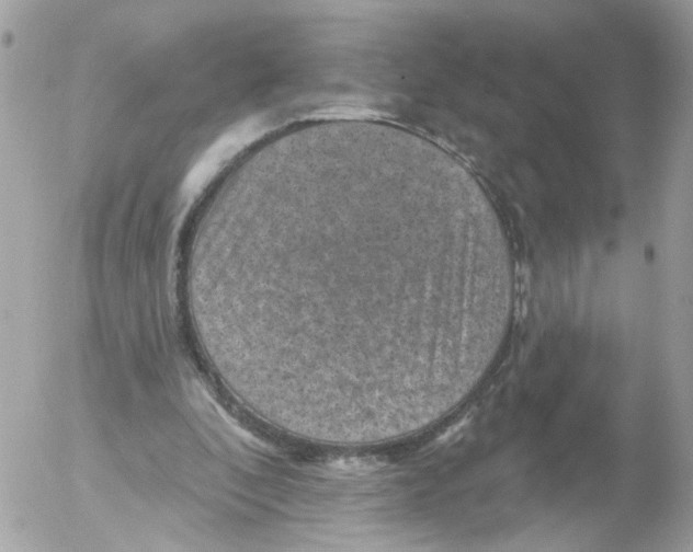 X0000052570296200507292013