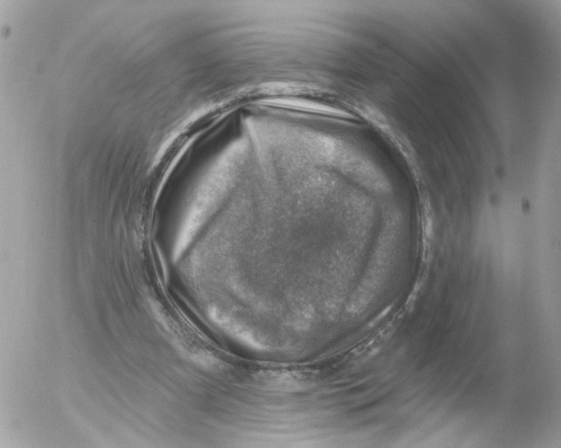 X0000052570297200507292013