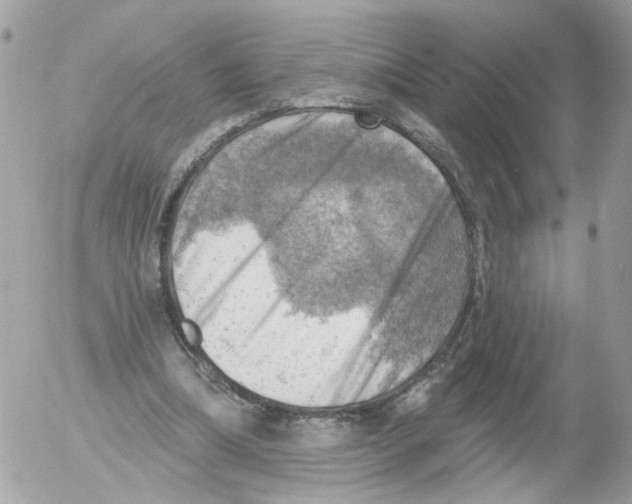 X0000052570298200507292013