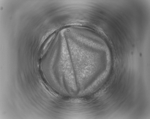 X0000052570299200507292013