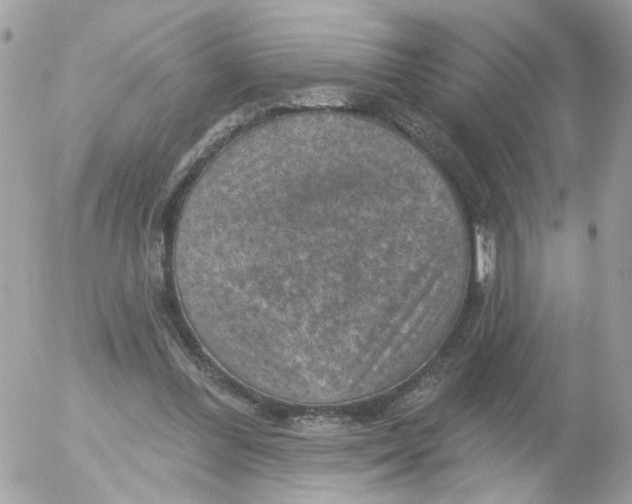 X0000052570300200507292013