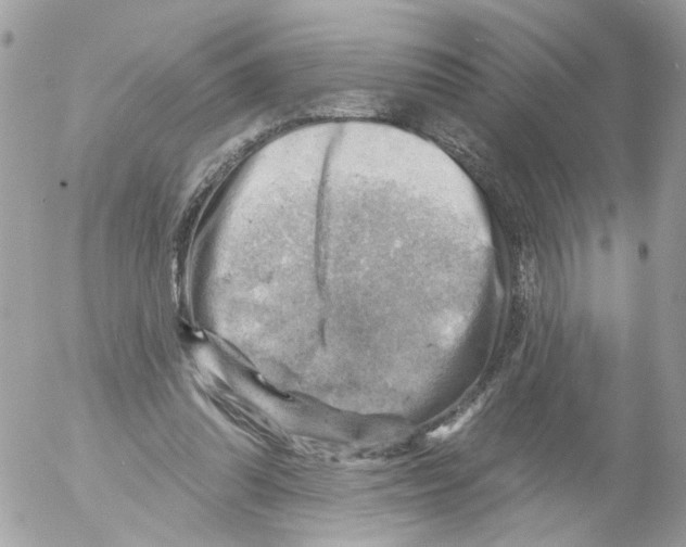 X0000052570302200507292013