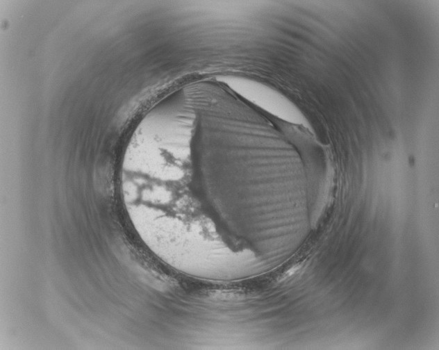 X0000052570303200507292013